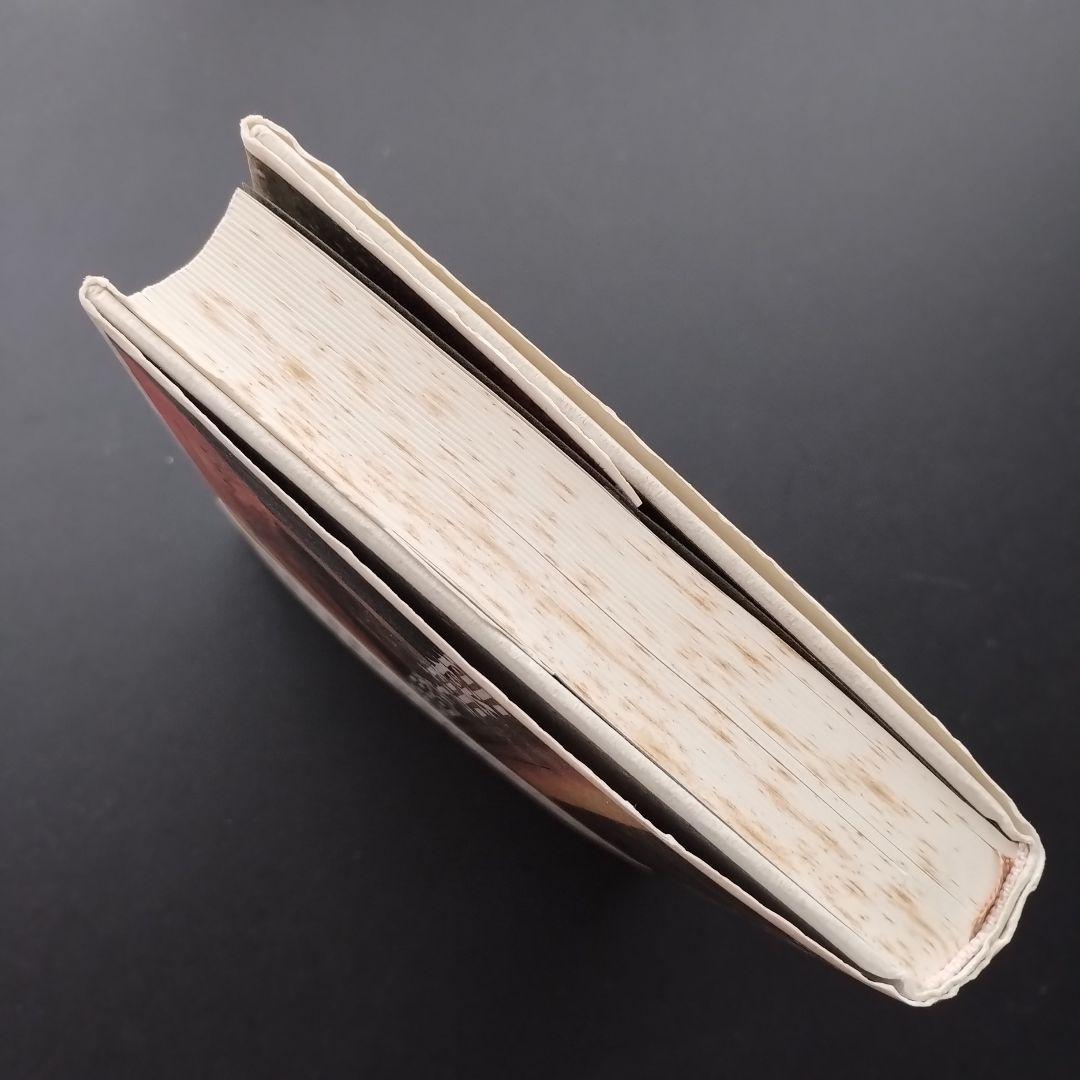 フラ・アンジェリコ　神秘神学と絵画表現　☆