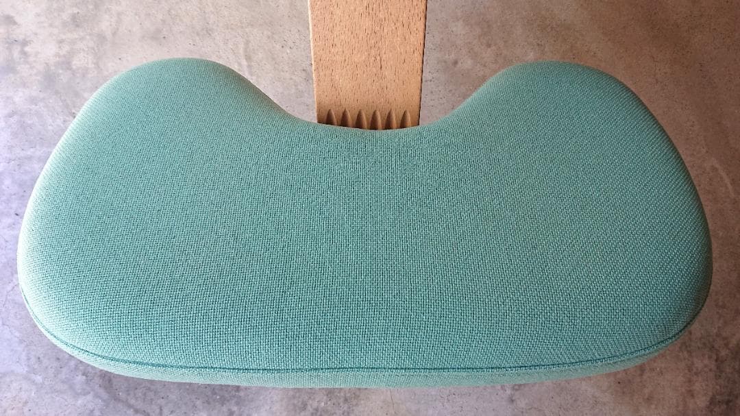 【美品】サカモトハウス バランスチェアイージー　ライトグリーン　カバー付き