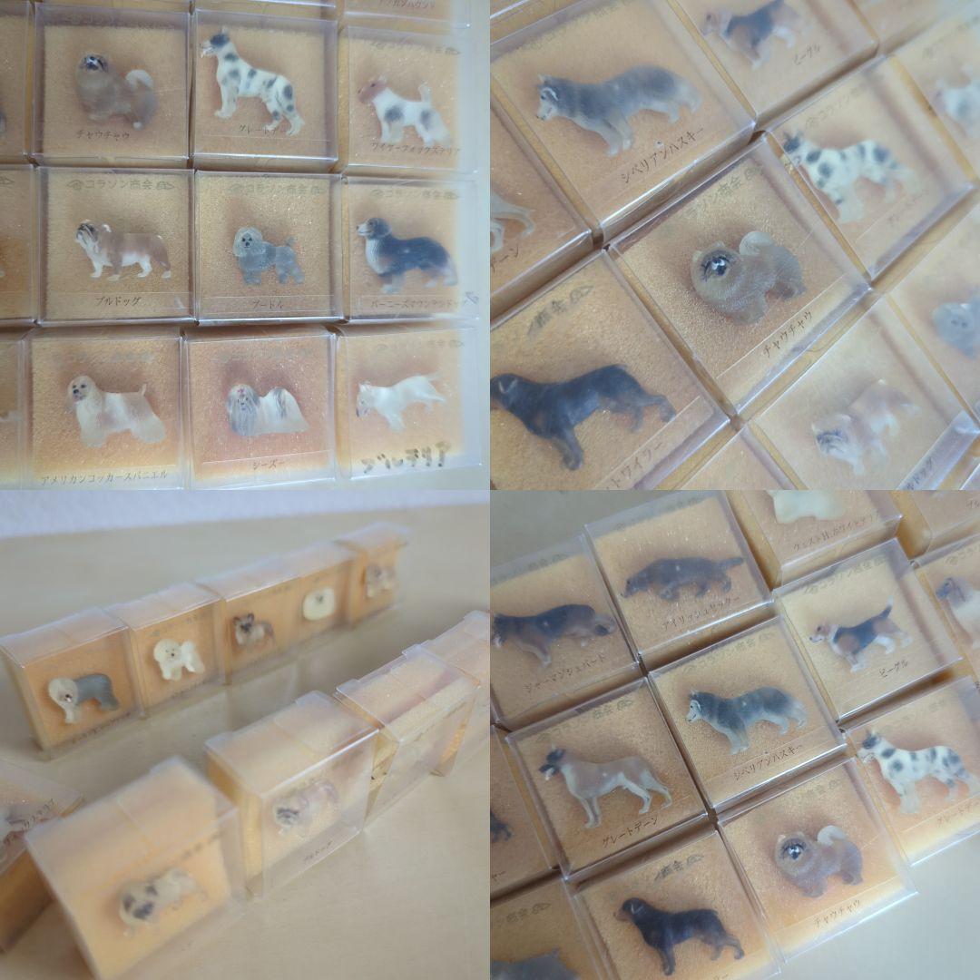 a様　コラソン商会　犬シリーズ　犬　バッジ　犬ピンバッジ　まとめ売り　30個