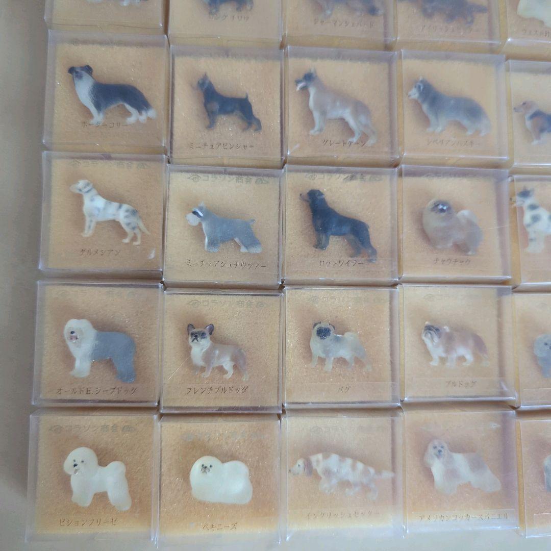 a様　コラソン商会　犬シリーズ　犬　バッジ　犬ピンバッジ　まとめ売り　30個