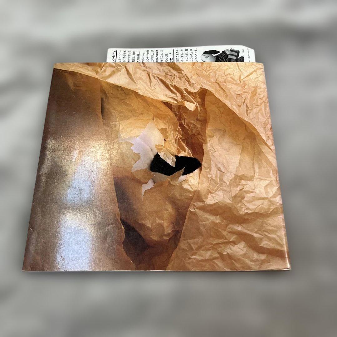 スヌーピーインファッション 写真集 SNOOPY IN FASHION レア初版