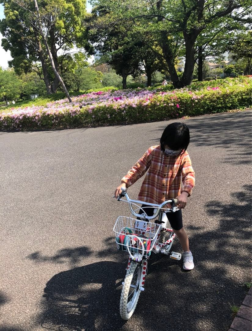 【引取限定】アルコバ　16インチ　キッズ　自転車