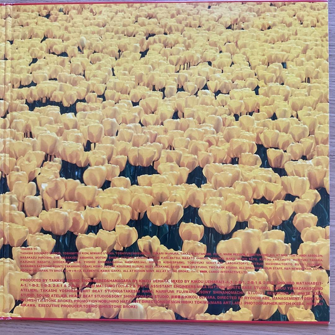 電気グルーヴ A 2枚組レコード　シャングリラ