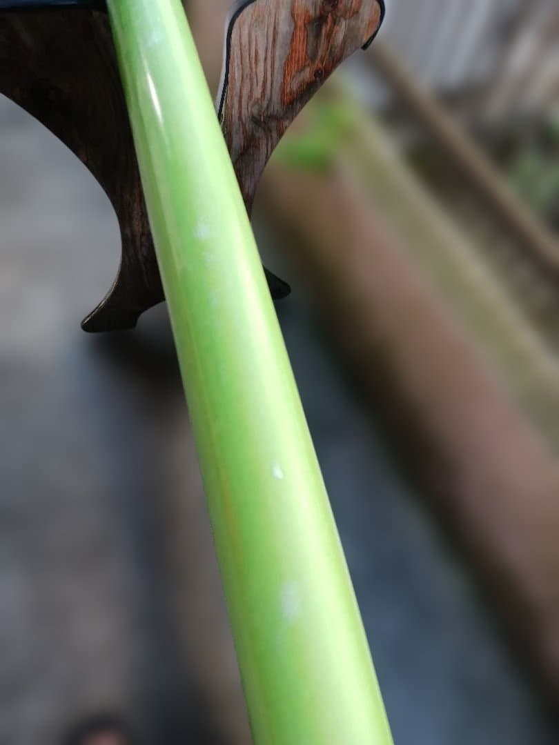 Y*u様 【早い者勝ち】coreymunn slipper 5.11コーリーマン