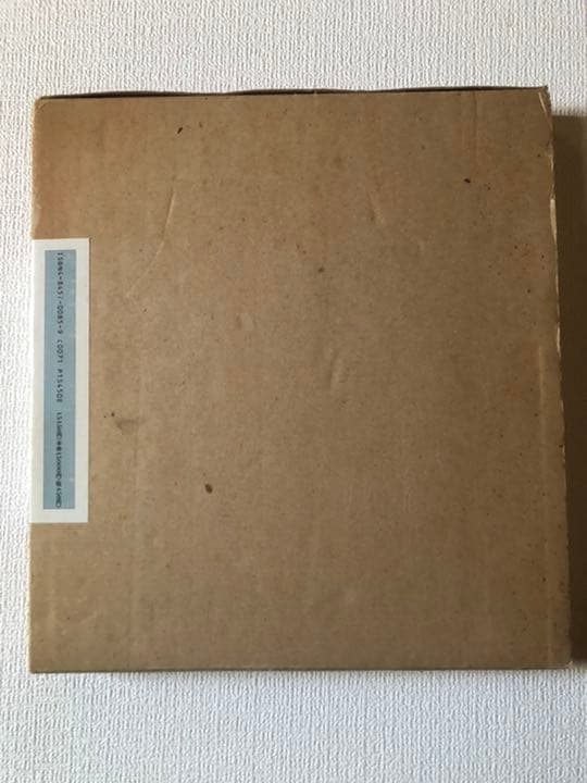 エゴン・シーレ画集　エルヴィン・ミッチ著　坂崎乙郎　監修翻訳