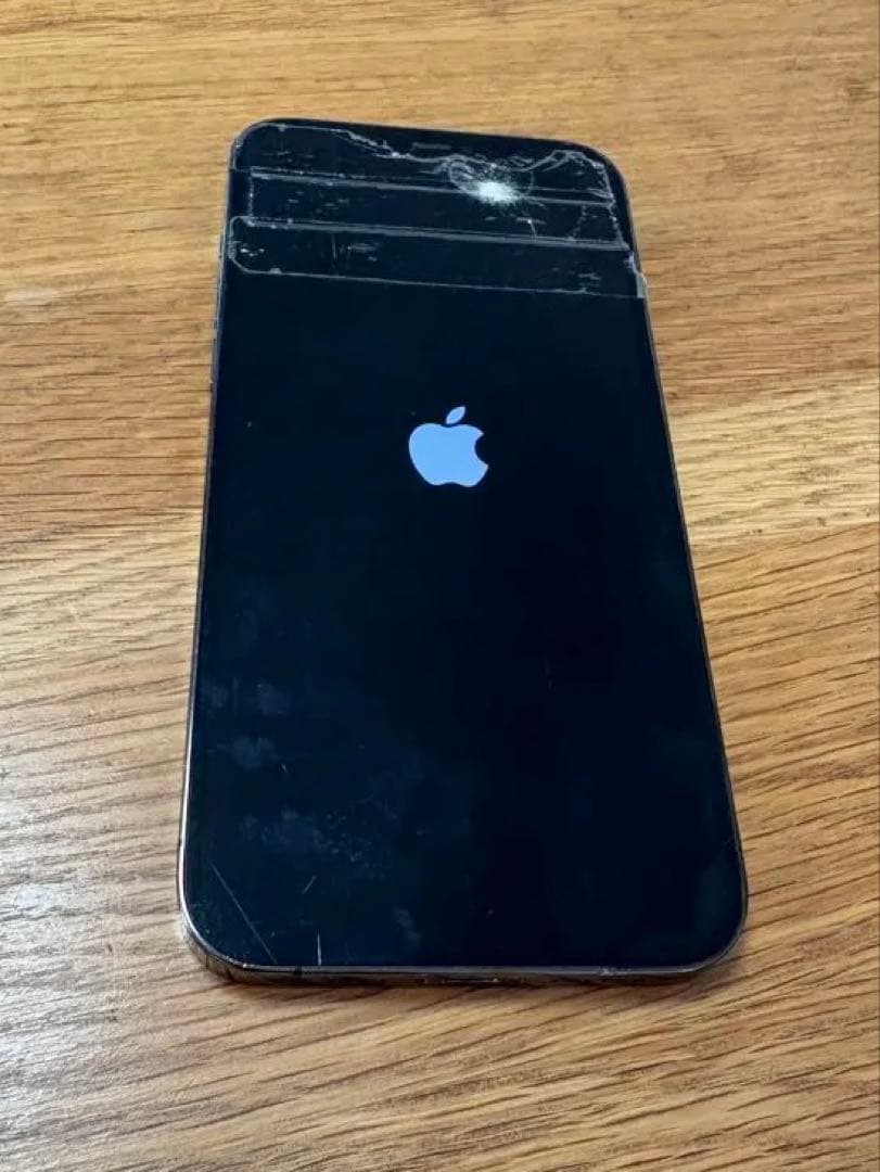 iphone12promax 本体 インカメラ故障　ジャンク