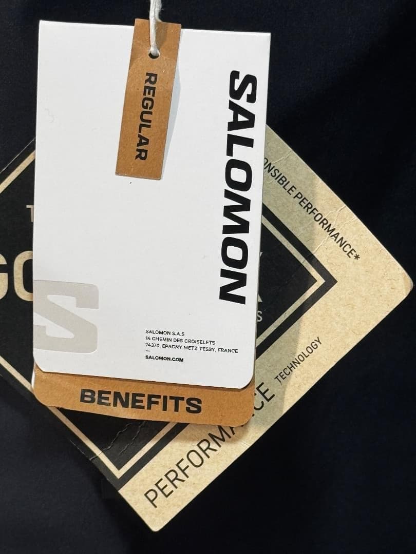 サロモン MOON PATROL GORE-TEX メンズシェルパンツ サイズL