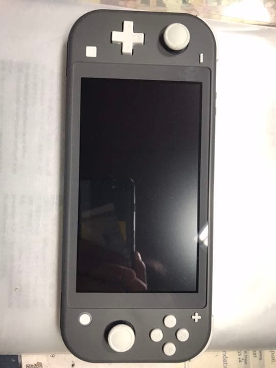 Nintendo Switch ライト モンスターハンターライズセット