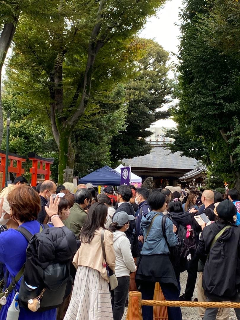 【最新】12/26己巳の日 蛇窪神社 夢巳札＆巳くじ＆清め塩(計3品)