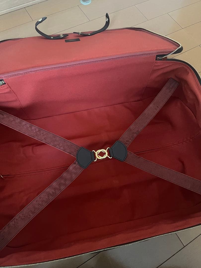 なみ 美品　ルイヴィトン　ダミエ　 ペガス55 キャリーバッグ