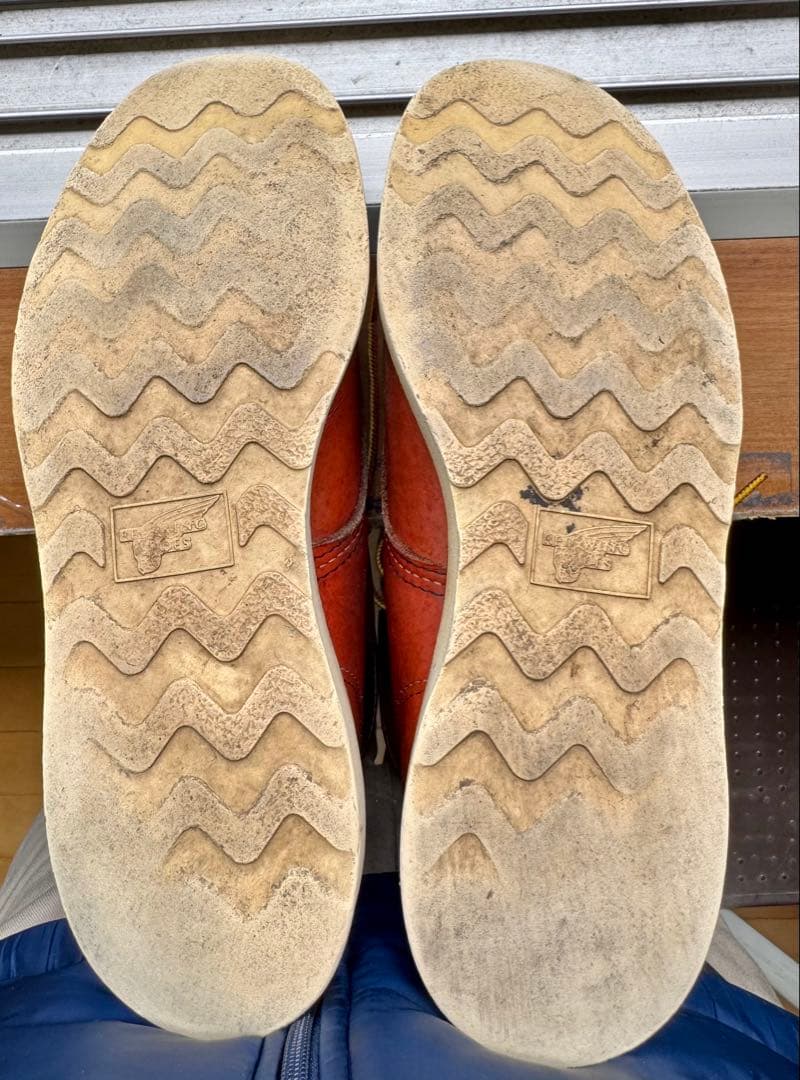 REDWING 8875 サイズ8 アイリッシュセッター レッドウィング