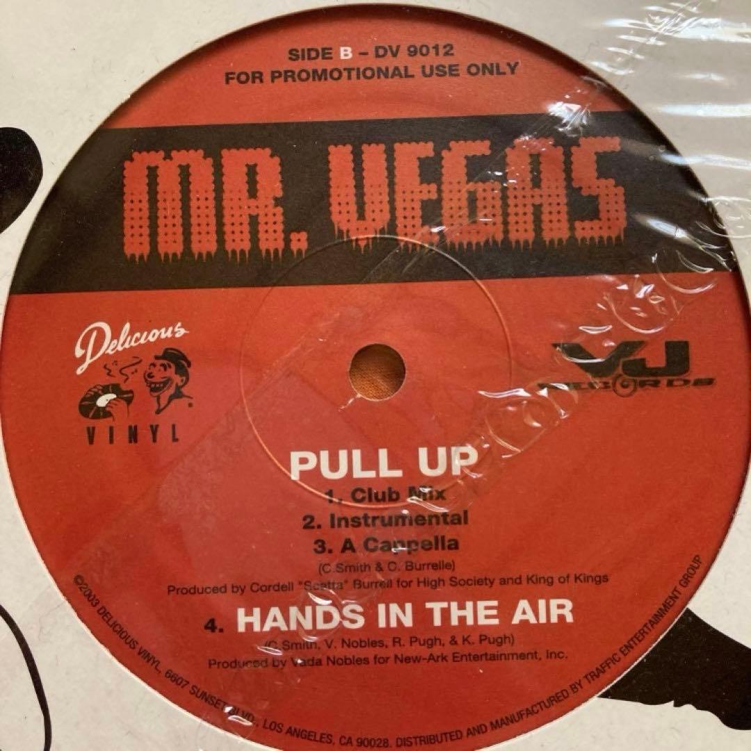 レゲエ　12インチシングル　9枚