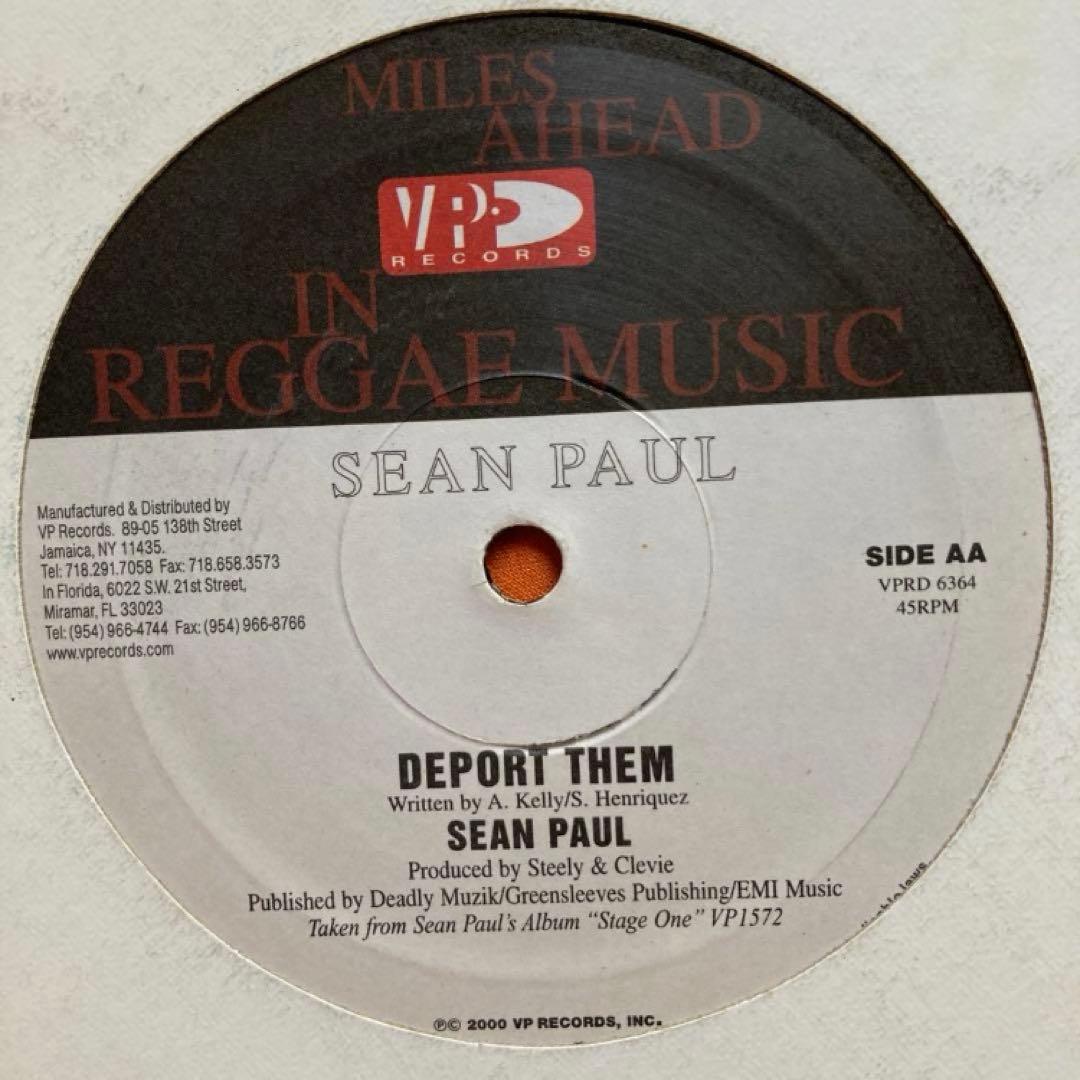 レゲエ　12インチシングル　9枚