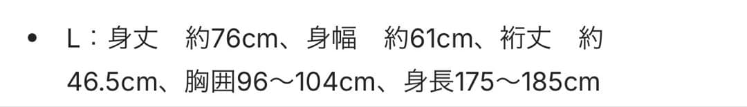 柳田悠岐 2024年リーグ優勝記念ユニフォーム Lサイズ