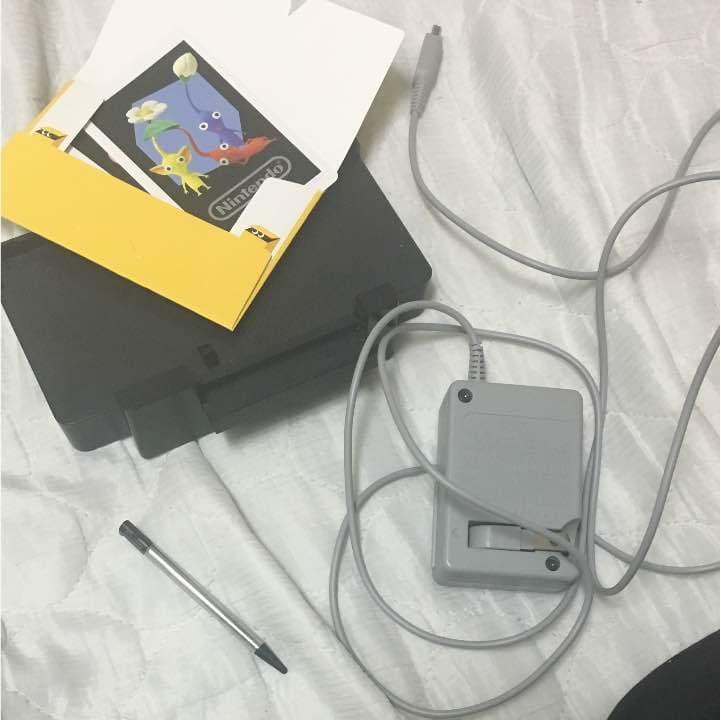 3DS ダウンロードカセットつき