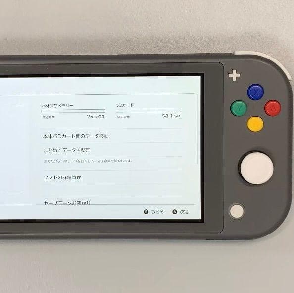 Nintendo Switch Lite 本体 動作品　2021