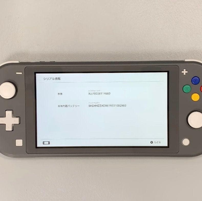 Nintendo Switch Lite 本体 動作品　2021