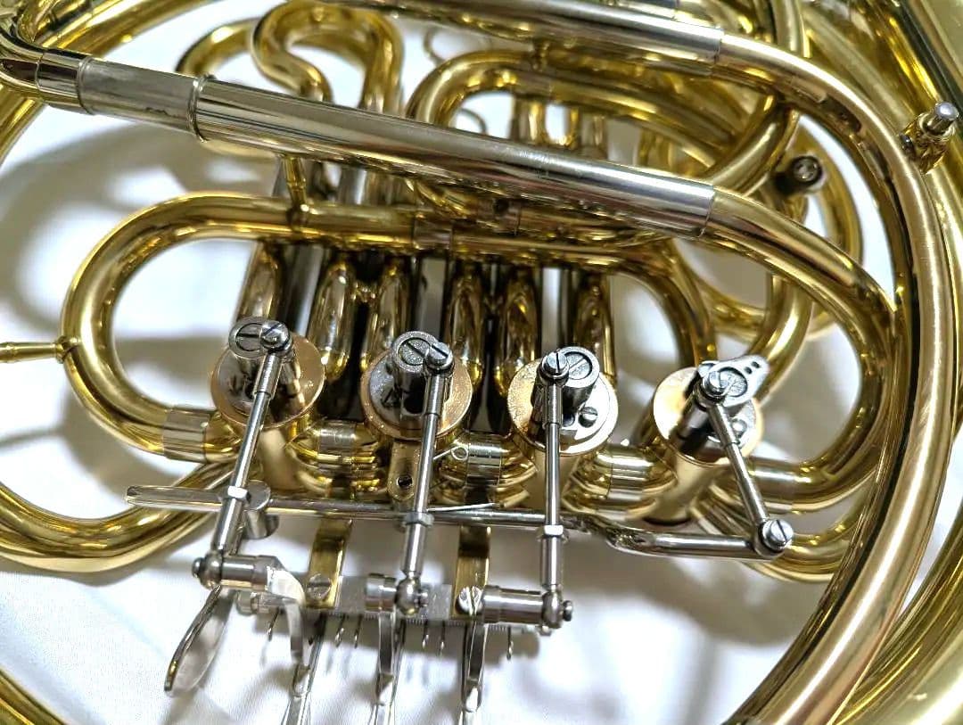 Stonvi　Elite　フルダブル / bagsケース★週末限定値下