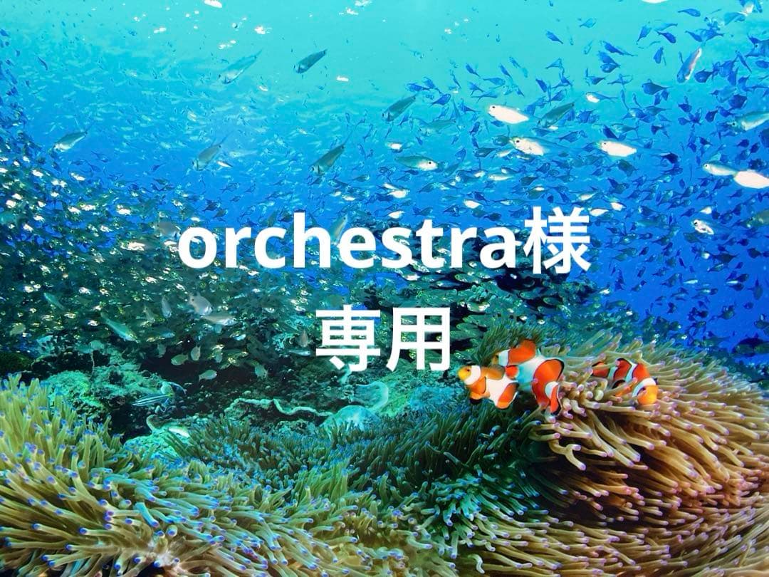 エンビロンモイスチャートーナー200ml アクアオイル　クレイテック