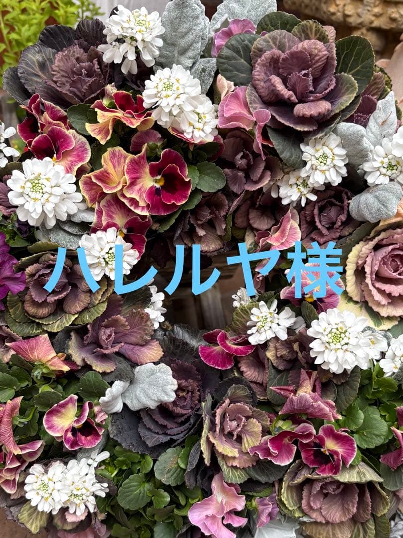 ⭐️ハレルヤ様 M'S GRACY スカート+ワンピース2点おまとめ