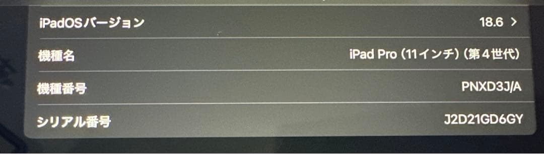 ipad Pro第4世代 ブラック 画面に傷あり