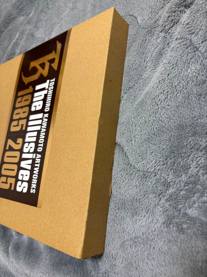 ⭐︎専用出品⭐︎川元利浩 Artworks The IllusivesII