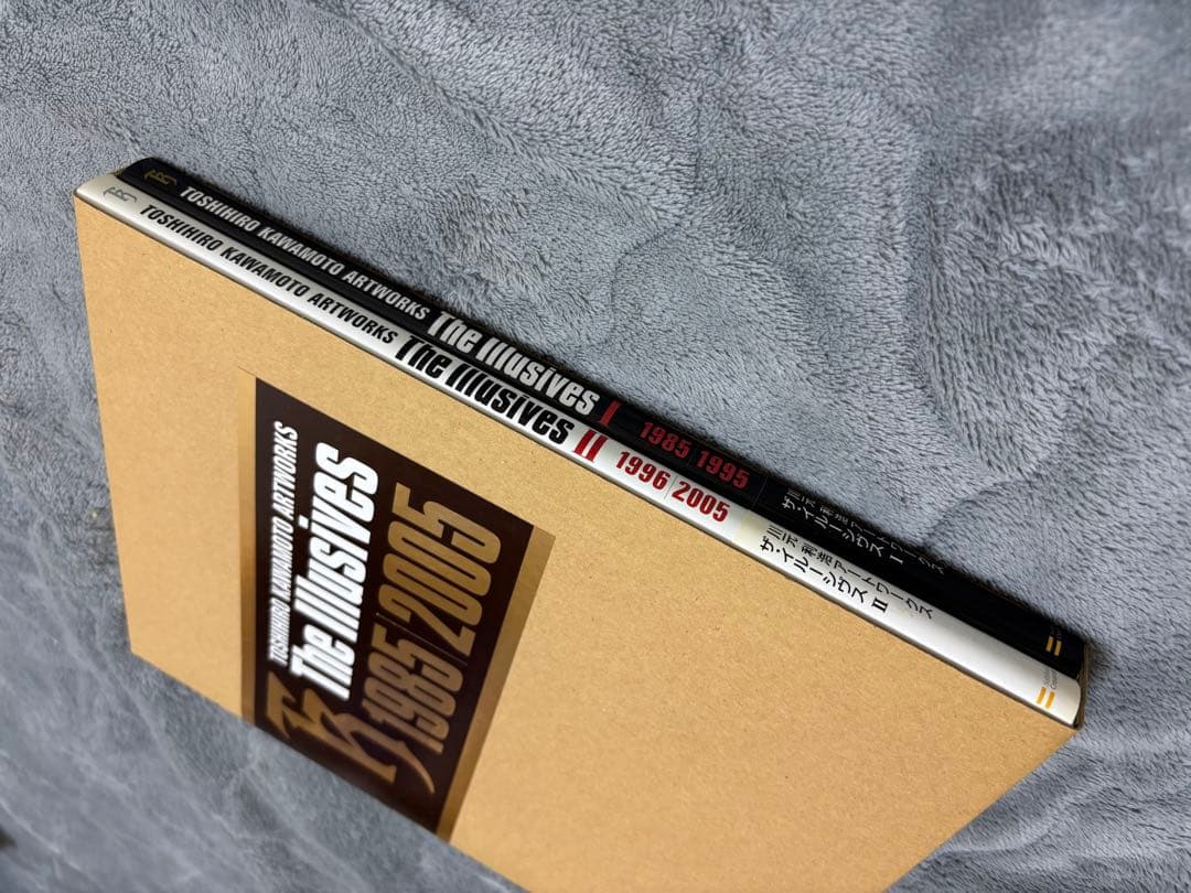 ⭐︎専用出品⭐︎川元利浩 Artworks The IllusivesII