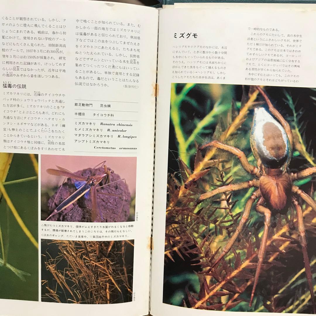 動物の大世界百科　animallife