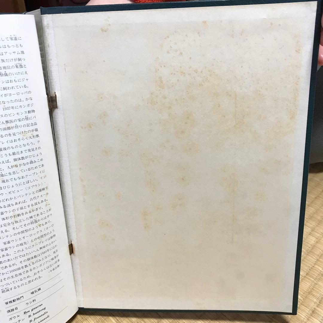 動物の大世界百科　animallife