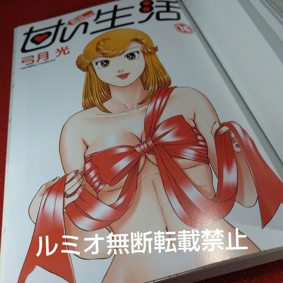 甘い生活SecondSeason【全巻セット】弓月光