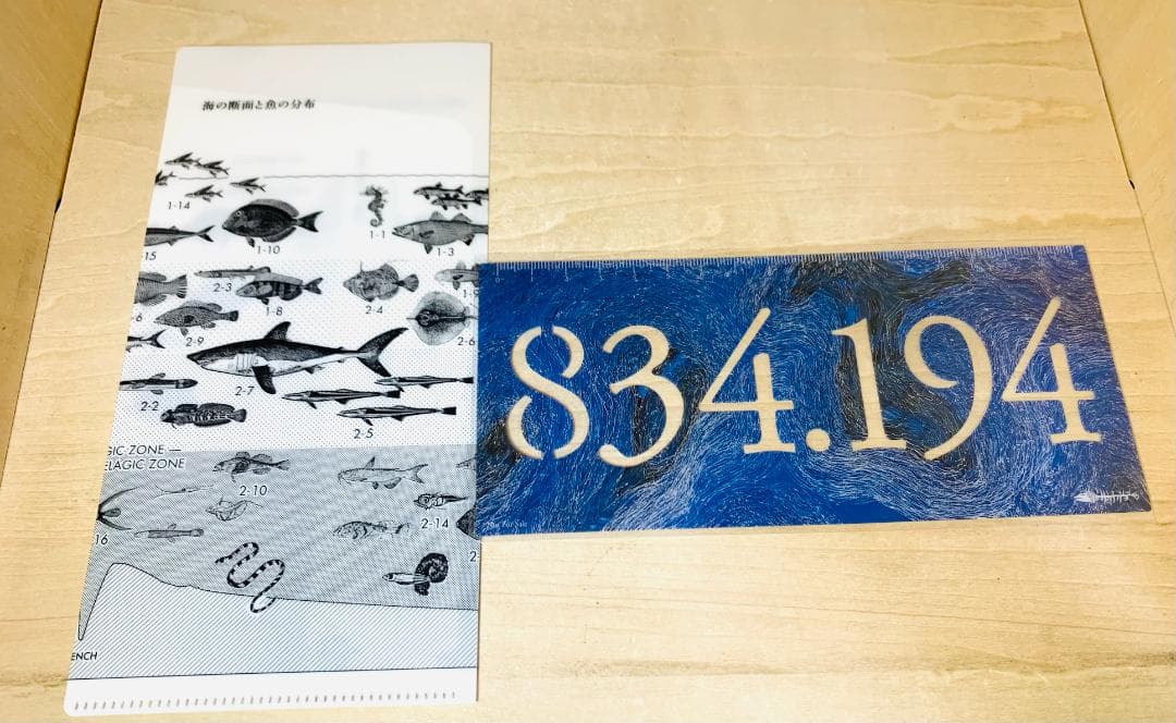 サカナクション アルバム全8枚 ベスト 魚図鑑 懐かしい月 セット 初回盤+特典