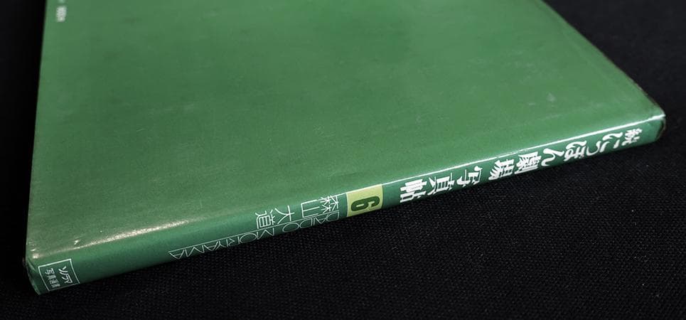 続にっぽん劇場写真帖 DAIDO MORIYAMA　森山大道