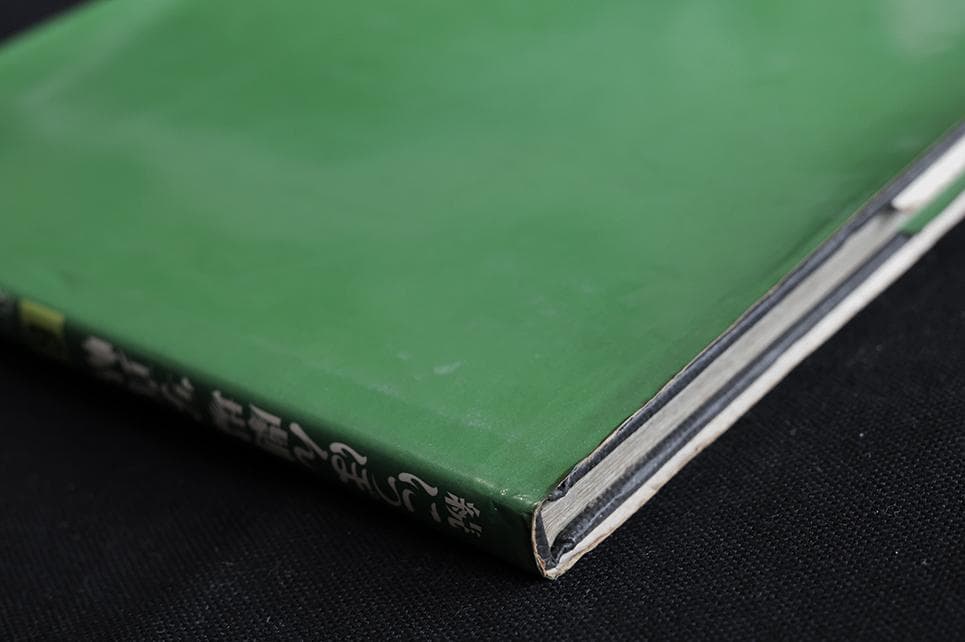 続にっぽん劇場写真帖 DAIDO MORIYAMA　森山大道