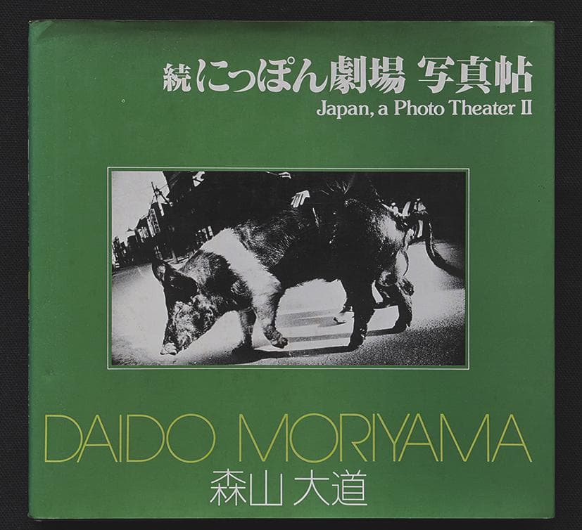 続にっぽん劇場写真帖 DAIDO MORIYAMA　森山大道