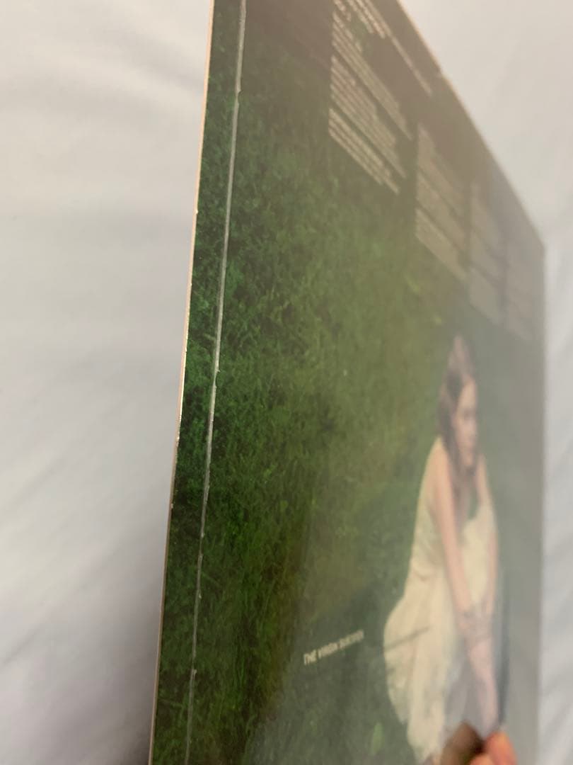 サントラ The Virgin Suicides AIR