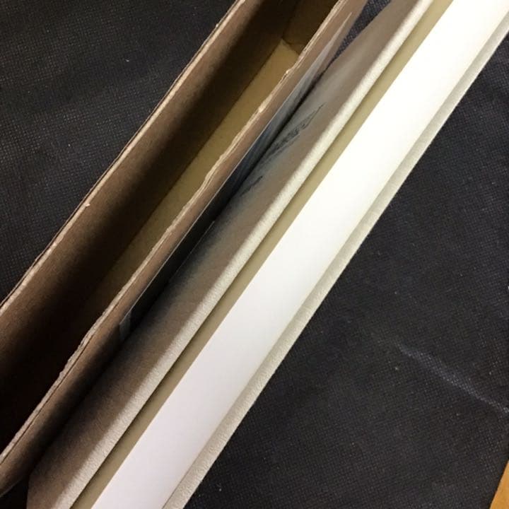 日本湖沼誌 : プランクトンから見た富栄養化の現状 2