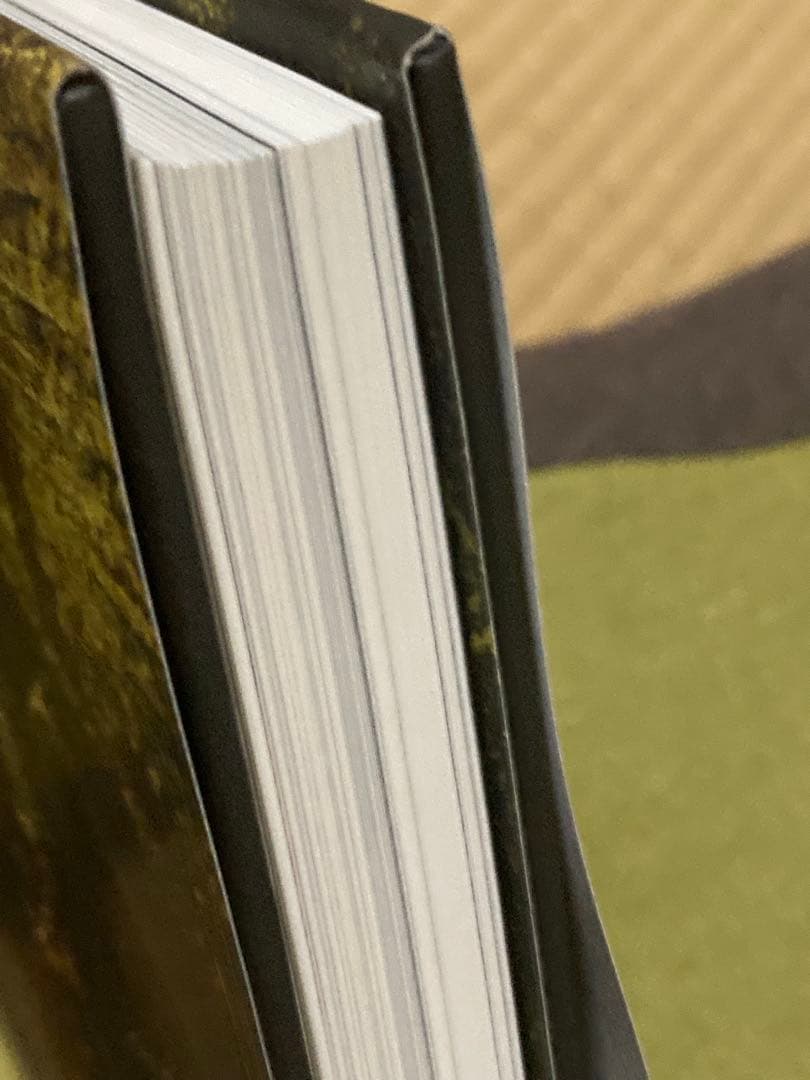 限定版 Dark Souls III Estus Flask Edition