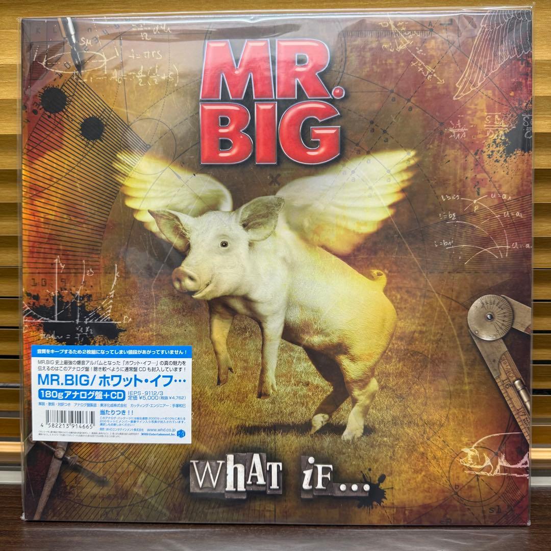 MR.BIG :What If...(2枚組アナログレコード)