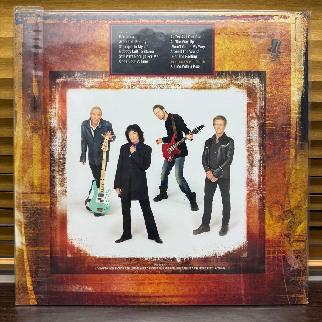 MR.BIG :What If...(2枚組アナログレコード)