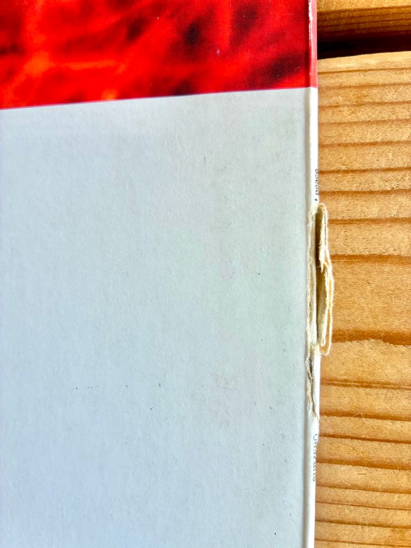 パンク ハードコア レコード7枚セット H2O MURPHY'S LAW