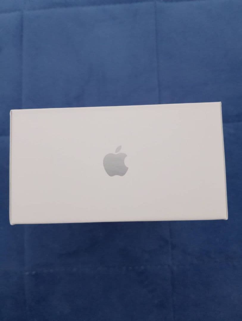 Apple純正品 新品未使用 未開封 AirPods Pro 3 第3世代