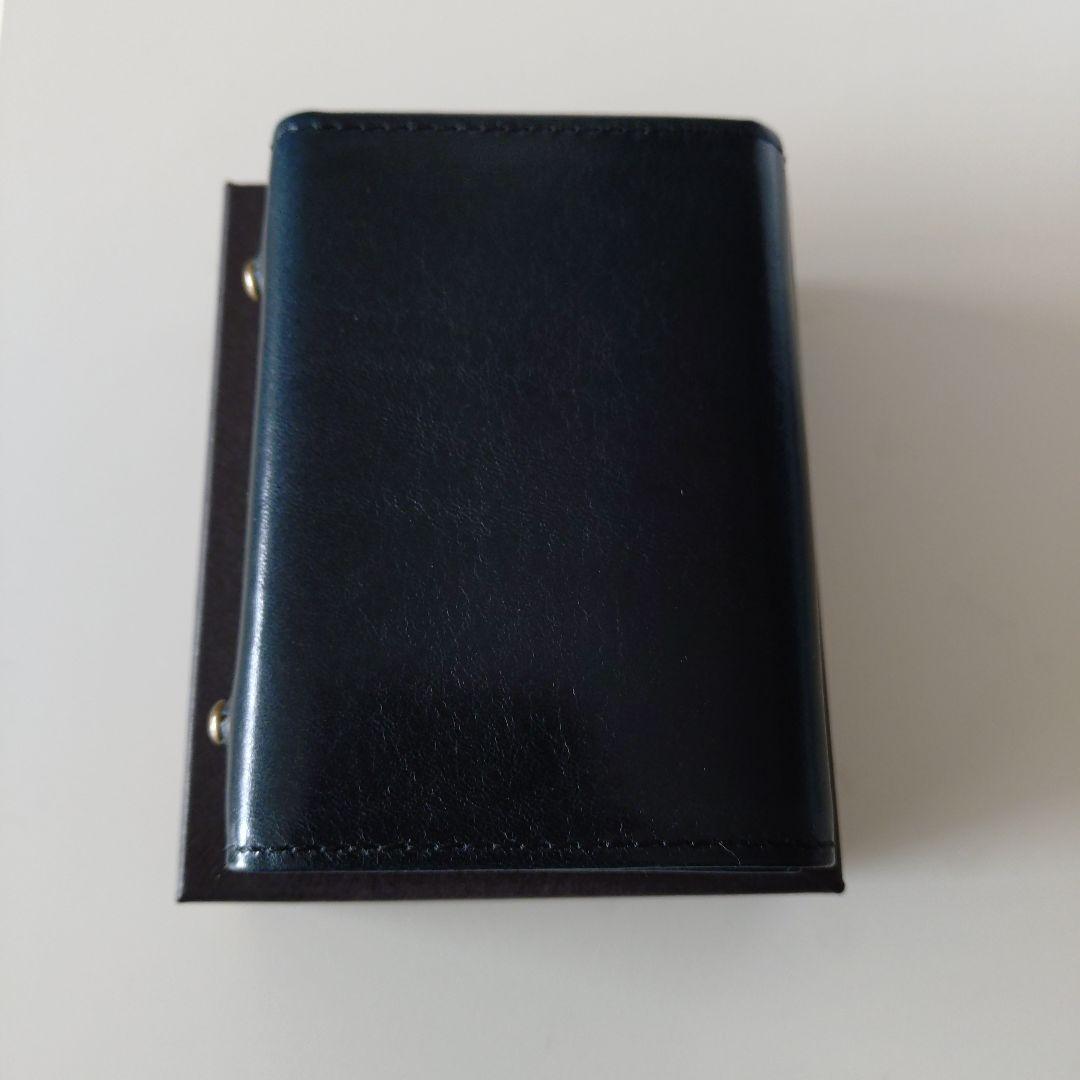 新品 m+ エムピウ ミッレフォッリエ2 P25 BUSCHETO oceano