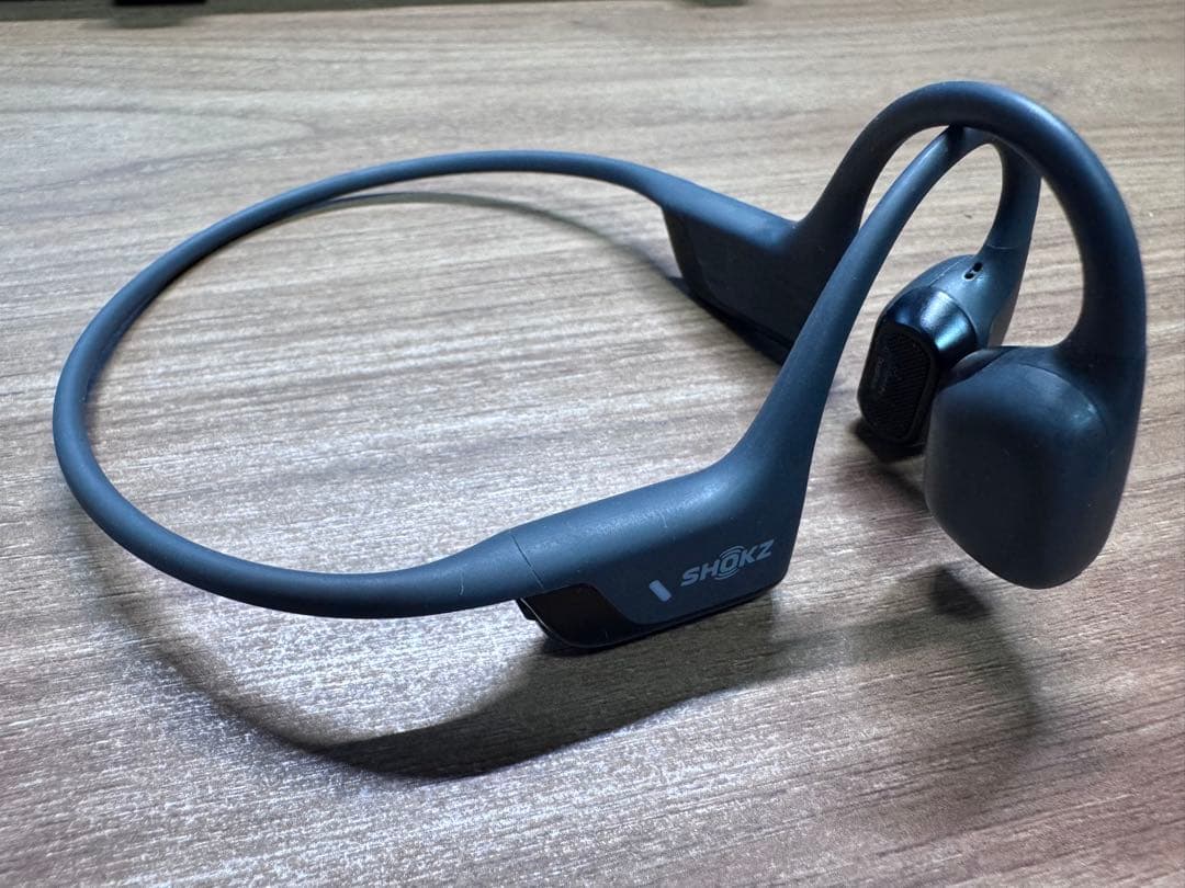 OpenRun Pro 2 標準サイズ