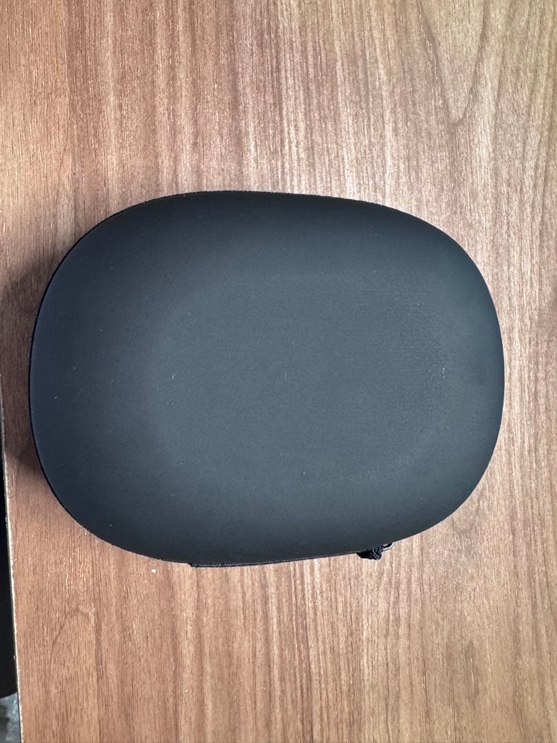 OpenRun Pro 2 標準サイズ