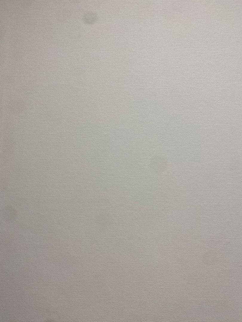 【最終値下げ】iPhone11Pro⭐︎256GB⭐︎シルバー⭐︎MWC82J/A