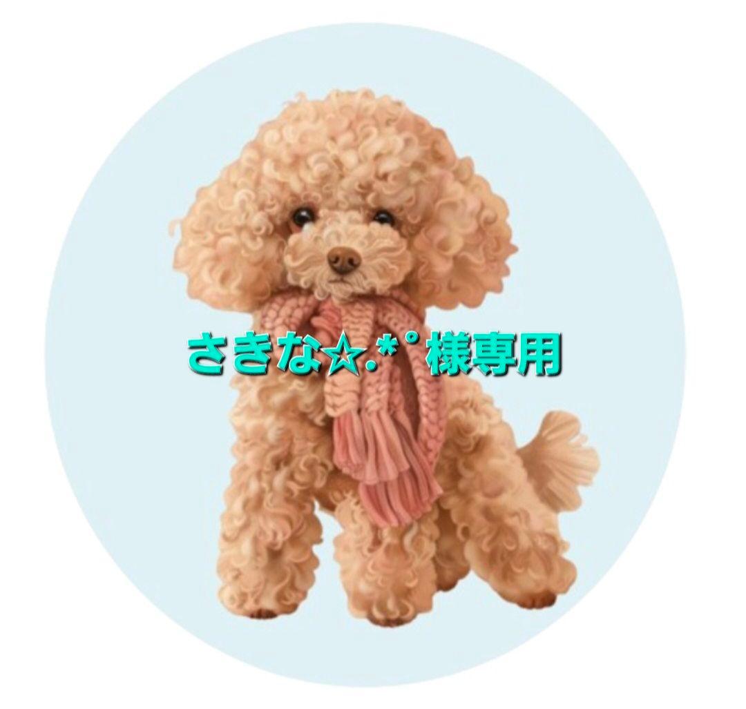 さきな✩.*˚ゆうゆうメルカリ便☆iQOSヒートスティックデコケースセット