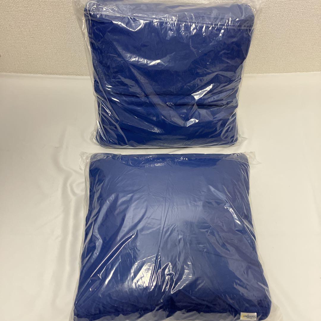 新品　トゥルースリーパー　低反発座布団　クッション　2点セット　送料無料
