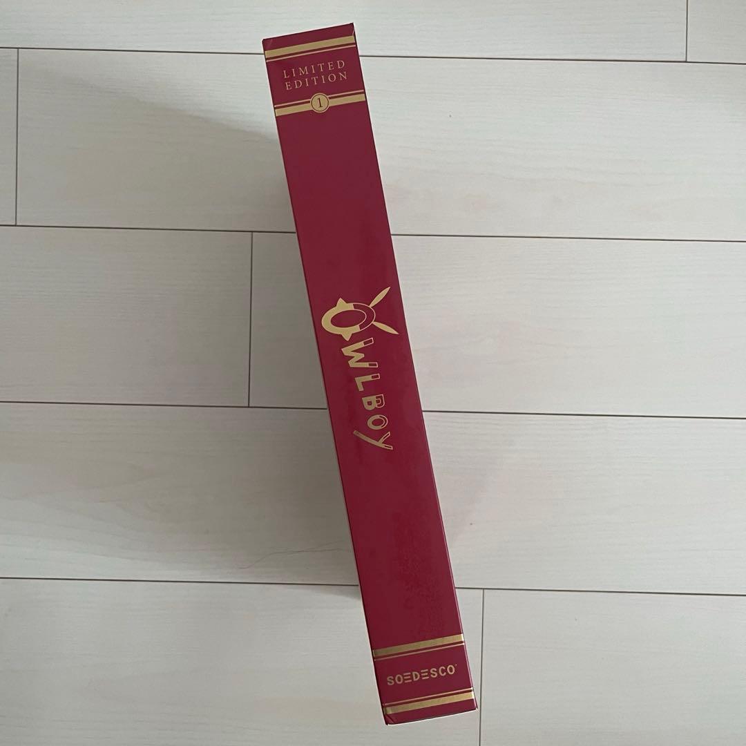 OWLBOY 限定版 Nintendo Switch limited パッケージ