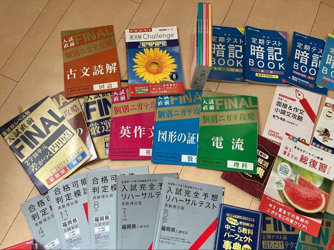 進研ゼミ中学講座3年生＋α