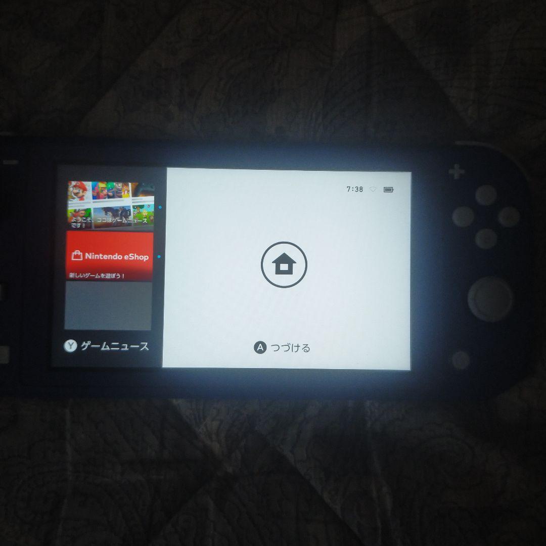 Switchライト 本体のみ 箱無し